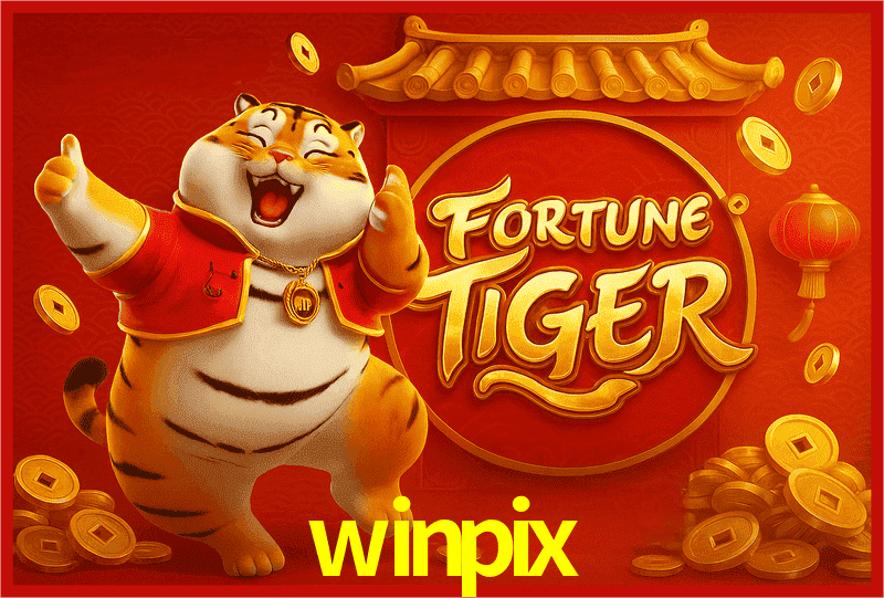 Interface Premium winpix